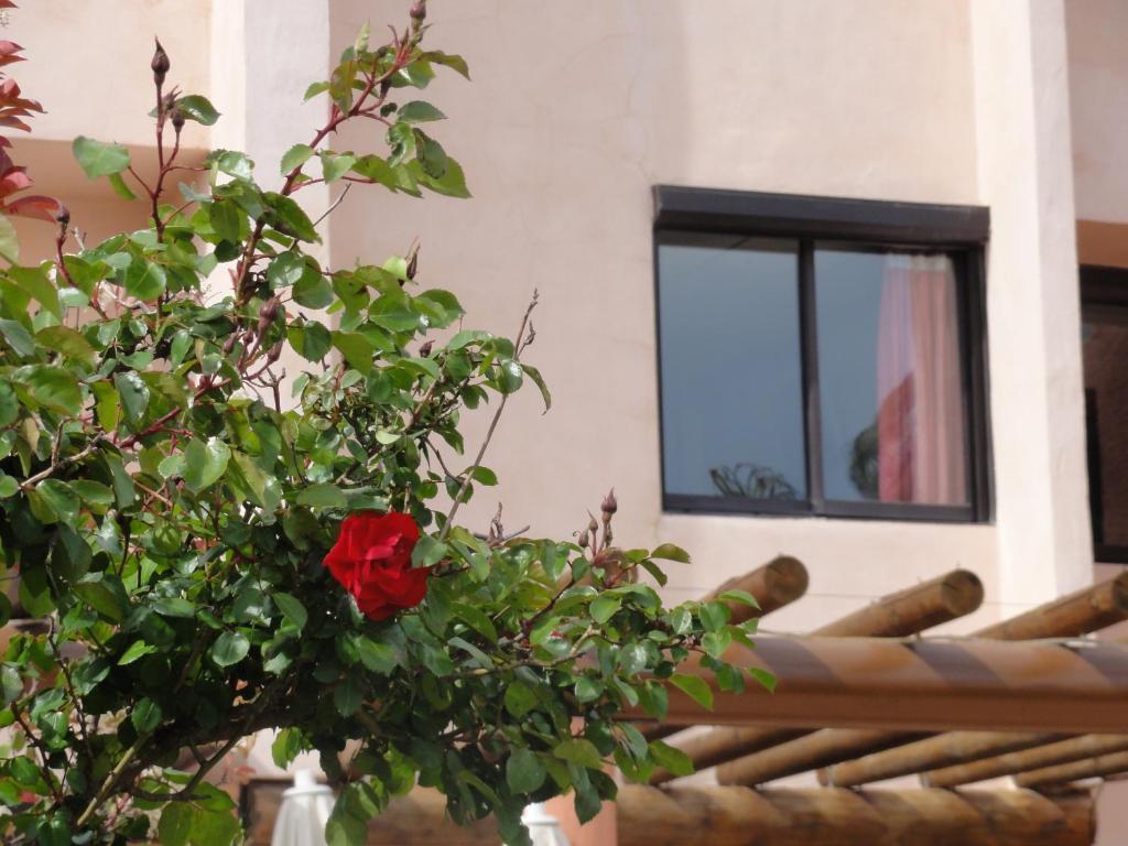 Hotel L'Hacienda Martigues Eksteriør billede